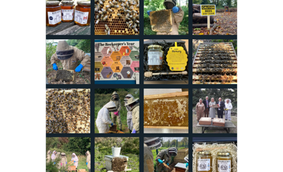 world-bee-day-for-website.png
