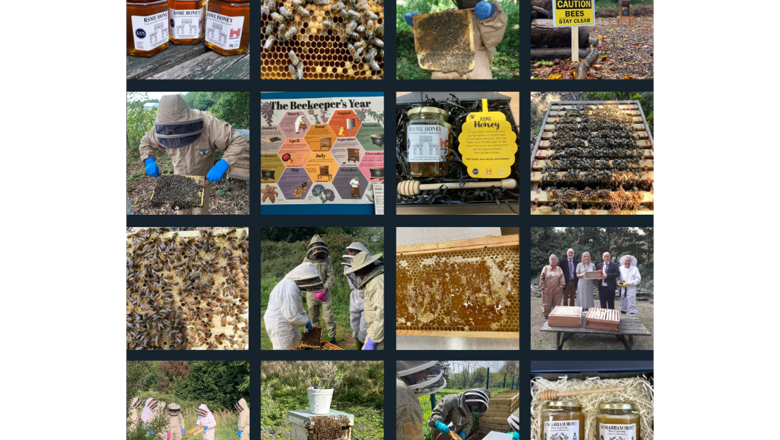 world-bee-day-for-website.png