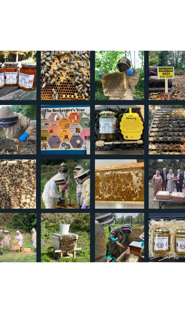 world-bee-day-for-website.png